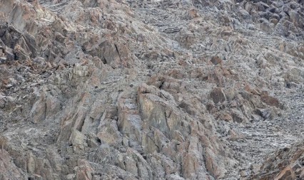 MOZGALICA KOJA JE POSVAĐALA MREŽE Samo pravi genijalci mogu da pronađu leoparda za manje od 10 sekundi - imate li i vi oko sokolovo?